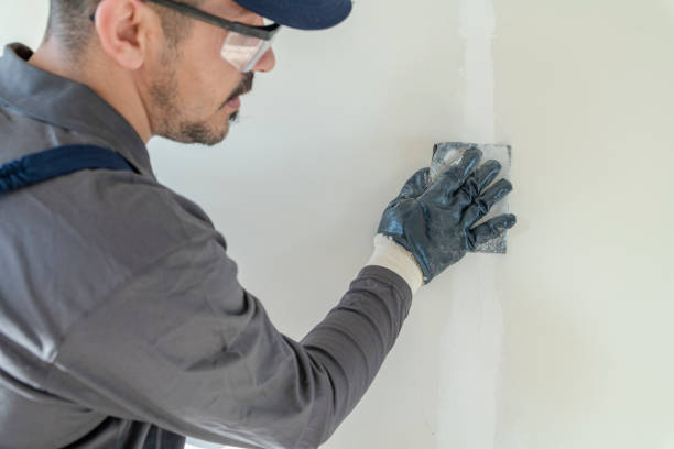 Best Touch-Up Painting  in USA